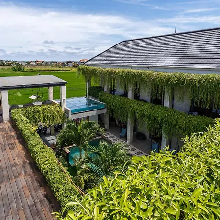 Canggu Hype